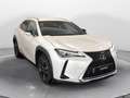 Lexus UX 250h Executive 2wd cvt Bianco - thumbnail 3