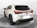 Lexus UX 250h Executive 2wd cvt Bianco - thumbnail 4