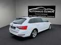 Skoda Superb 1.6 TDI Ambition Weiß - thumbnail 6