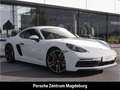 Porsche Cayman 718 GTS 4.0*LED-HSW*BOSE*SHZ* Weiß - thumbnail 9