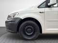Volkswagen Caddy Kasten Edition BMT TGI KLIMA AHK ERDGAS Weiß - thumbnail 9