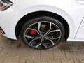Volkswagen Polo GTI 2.0 TSI DSG *ACC*MATRIX*VIRTUAL*8-fach* Blanc - thumbnail 7