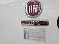 Fiat Doblo MULTIJET 1.5 130 CV ISOTERMO + FRIO MANTENIMIENTO Weiß - thumbnail 17