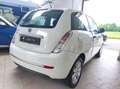 Lancia Ypsilon Ypsilon II 2007 1.2 8v New Oro (oro) Bianco - thumbnail 9