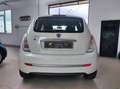 Lancia Ypsilon Ypsilon II 2007 1.2 8v New Oro (oro) Bianco - thumbnail 14
