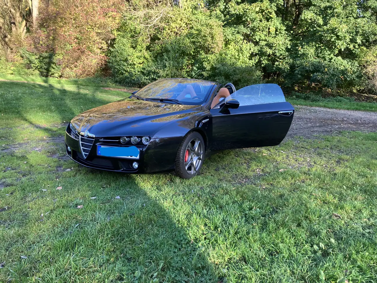 Alfa Romeo Spider