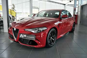 Quadrifoglio Rosso Competizione 1. Hand