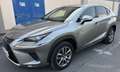 Lexus NX 300 300h 2.5 Business 2wd cvt Gris - thumbnail 3