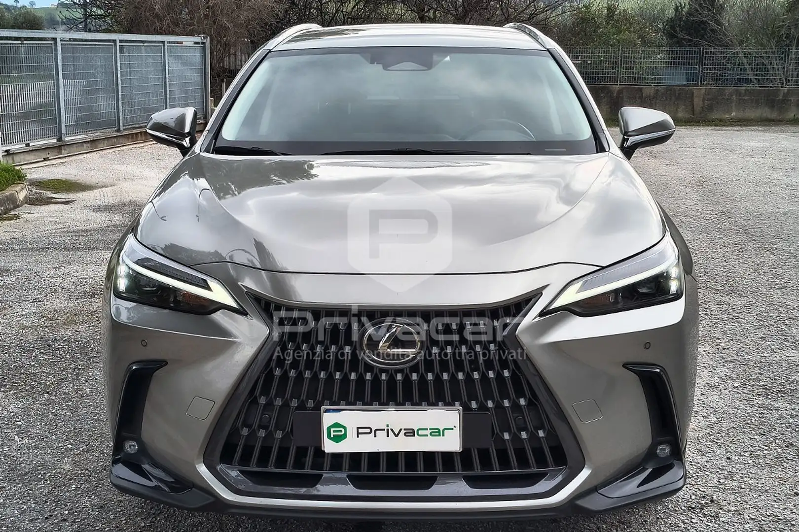Lexus NX 450h+ NX Plug-in 4WD Premium Plateado - 2