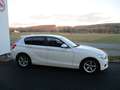 BMW 116 116 d Advantage RFK Navi Led Weiß - thumbnail 3