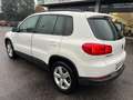 Volkswagen Tiguan 2012 2.0 tdi  Trend*cinghia fatta* Bianco - thumbnail 4