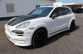 Hamann Sonstige Hamann Guardian erst 75000 Geamt-KM Weiß - thumbnail 19