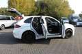 Hamann Sonstige Hamann Guardian erst 75000 Geamt-KM Weiß - thumbnail 9