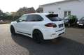 Hamann Sonstige Hamann Guardian erst 75000 Geamt-KM Weiß - thumbnail 3
