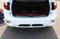 Hamann Sonstige Hamann Guardian erst 75000 Geamt-KM Weiß - thumbnail 13