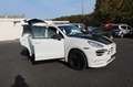 Hamann Sonstige Hamann Guardian erst 75000 Geamt-KM Weiß - thumbnail 8