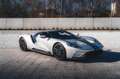 Ford GT Carbon Series / Ignot Silver / Titanium / VAT Plateado - thumbnail 1