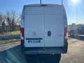 Fiat Ducato L2H2 2.0 BLUEHDI 130CV -  FW754ZM Blanc - thumbnail 5