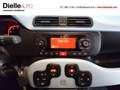 Fiat Panda 1.0 S&S Hybrid Launch Edition Blauw - thumbnail 17