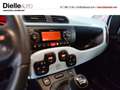 Fiat Panda 1.0 S&S Hybrid Launch Edition Azul - thumbnail 8
