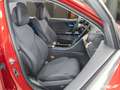 Mercedes-Benz C 200 C 200 Avantgarde DIG.LIGHT/360° Kamera/Ambiente/ Rojo - thumbnail 16
