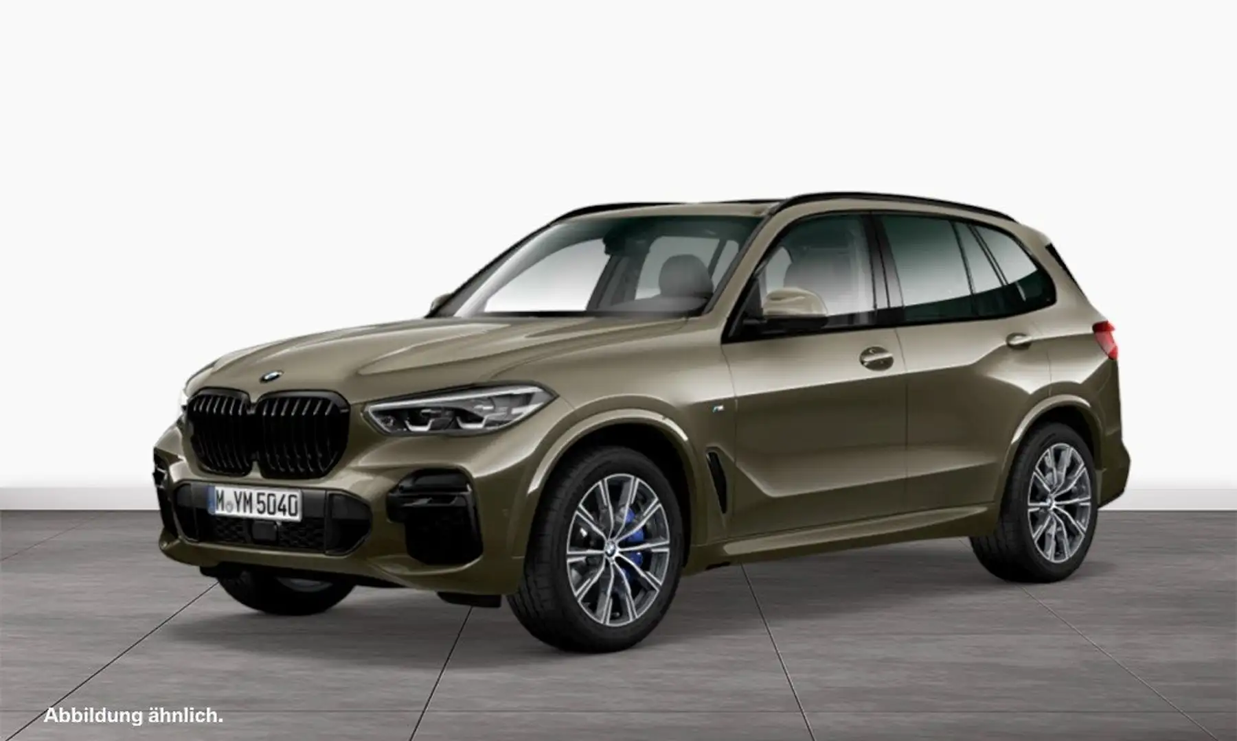 BMW X5 xDrive30d M Sport/Panorama/LiveCockpit/AHK/Parking Verde - 1