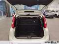 Fiat New Panda 1.0 FireFly Hybrid Blanc - thumbnail 6