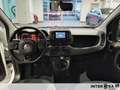 Fiat New Panda 1.0 FireFly Hybrid Bianco - thumbnail 8