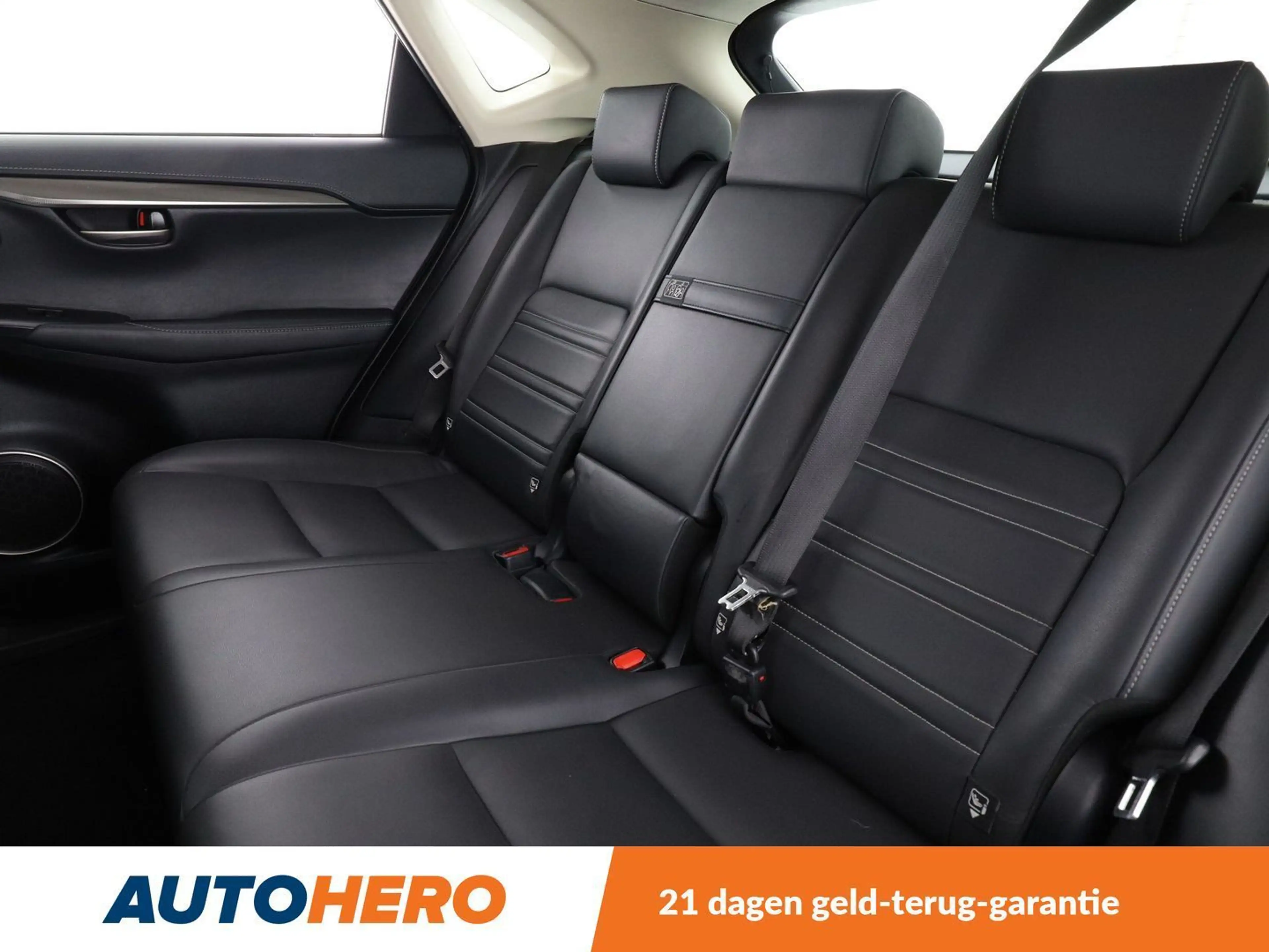 Lexus NX 300h NX 300h E-Four Pack Business — photo 14