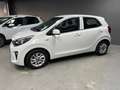 Kia Picanto 1.0 CVVT EconomyPlusLine | Goed onderhouden | Lage Bianco - thumbnail 5