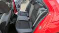 Skoda Fabia 1.0 mpi Business 75cv CRUISE-SENSORI- Rosso - thumbnail 10