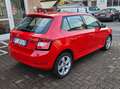 Skoda Fabia 1.0 mpi Business 75cv CRUISE-SENSORI- Rosso - thumbnail 4