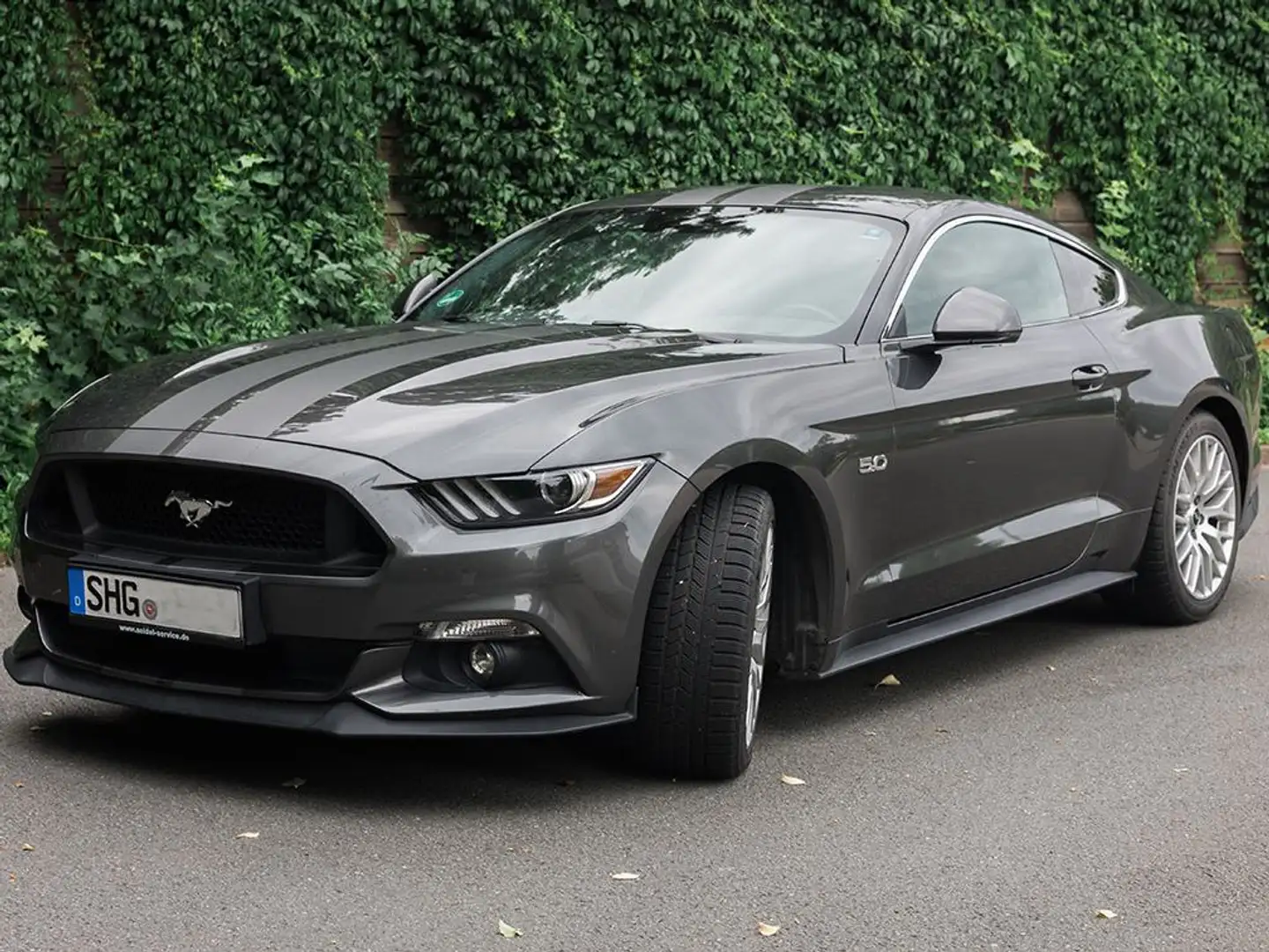 Ford Mustang Mustang 5.0 Ti-VCT V8 Aut. GT Grau - 1