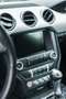 Ford Mustang Mustang 5.0 Ti-VCT V8 Aut. GT Grau - thumbnail 12