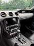 Ford Mustang Mustang 5.0 Ti-VCT V8 Aut. GT Grau - thumbnail 13