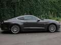 Ford Mustang Mustang 5.0 Ti-VCT V8 Aut. GT Grau - thumbnail 3