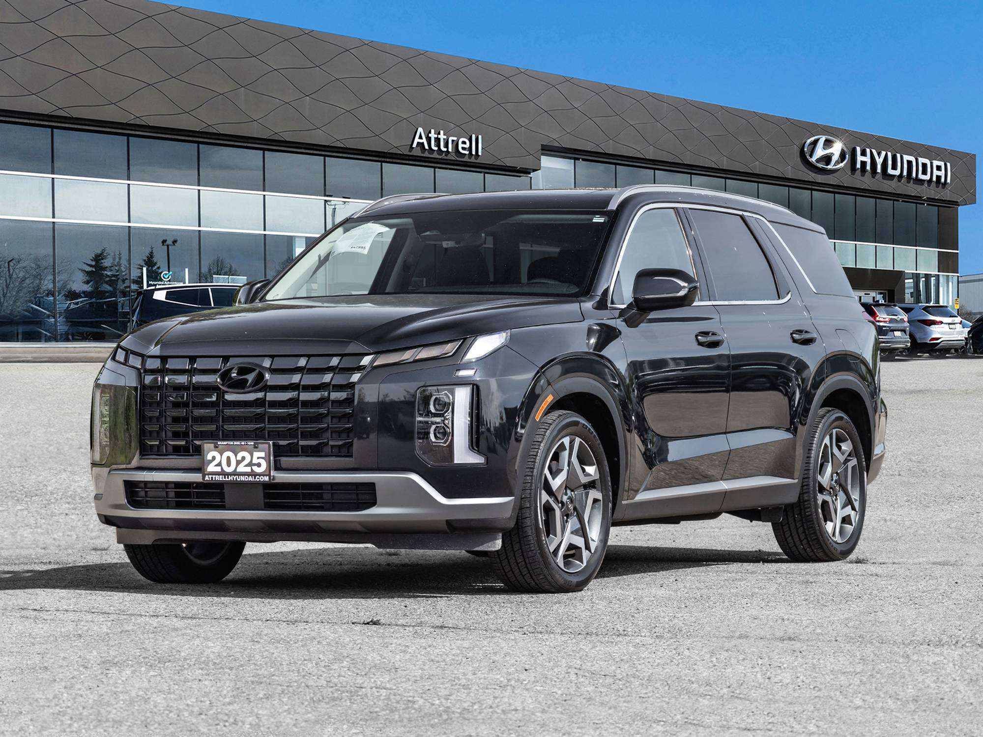 Blue 2025 Hyundai Palisade SUV / Crossover  Automatic