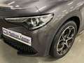 Alfa Romeo Stelvio 2.2 D TURBO 154KW VELOCE AUTO 4WD 5P Grijs - thumbnail 13