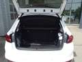 Skoda Fabia Fabia 1.0 TSI Selection Autom./LED/DAB/PDC Klima Blanc - thumbnail 27