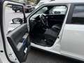 Suzuki Ignis 1,2 Dualjet Hybrid Allgrip Clear Allrad Weiß - thumbnail 8