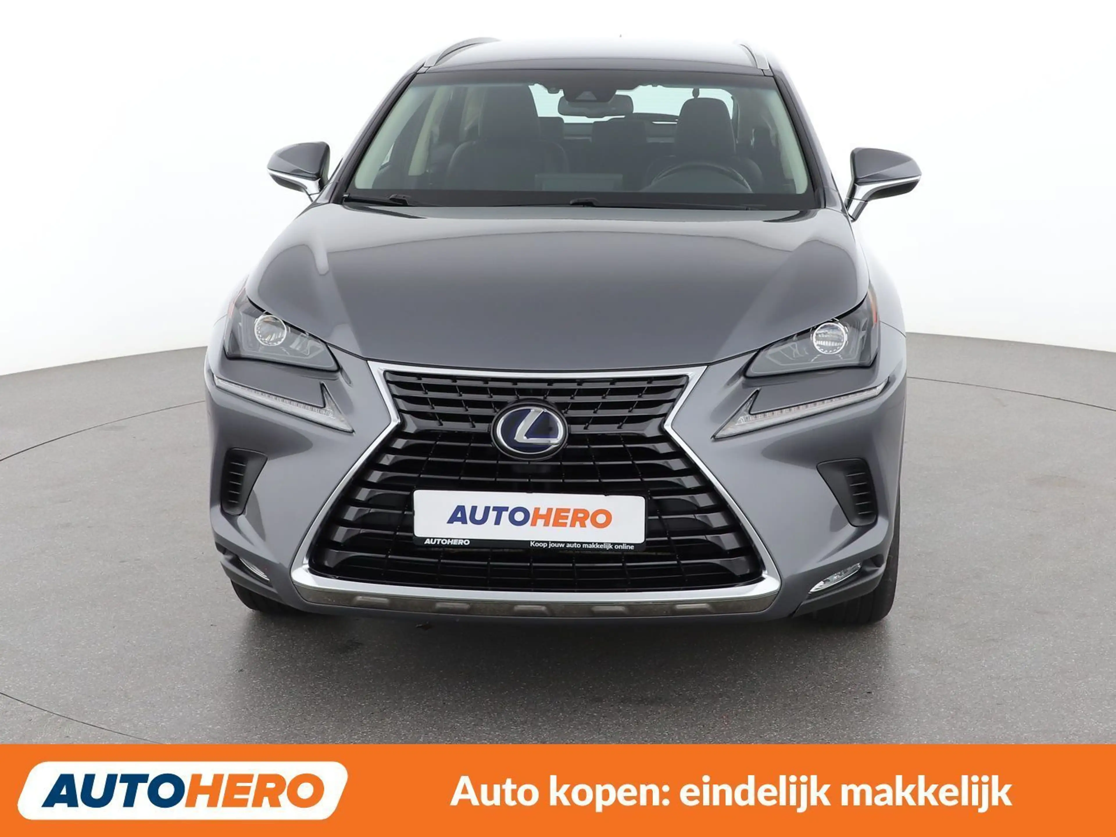 Lexus NX 300h NX 300h E-Four Pack Business — photo 9
