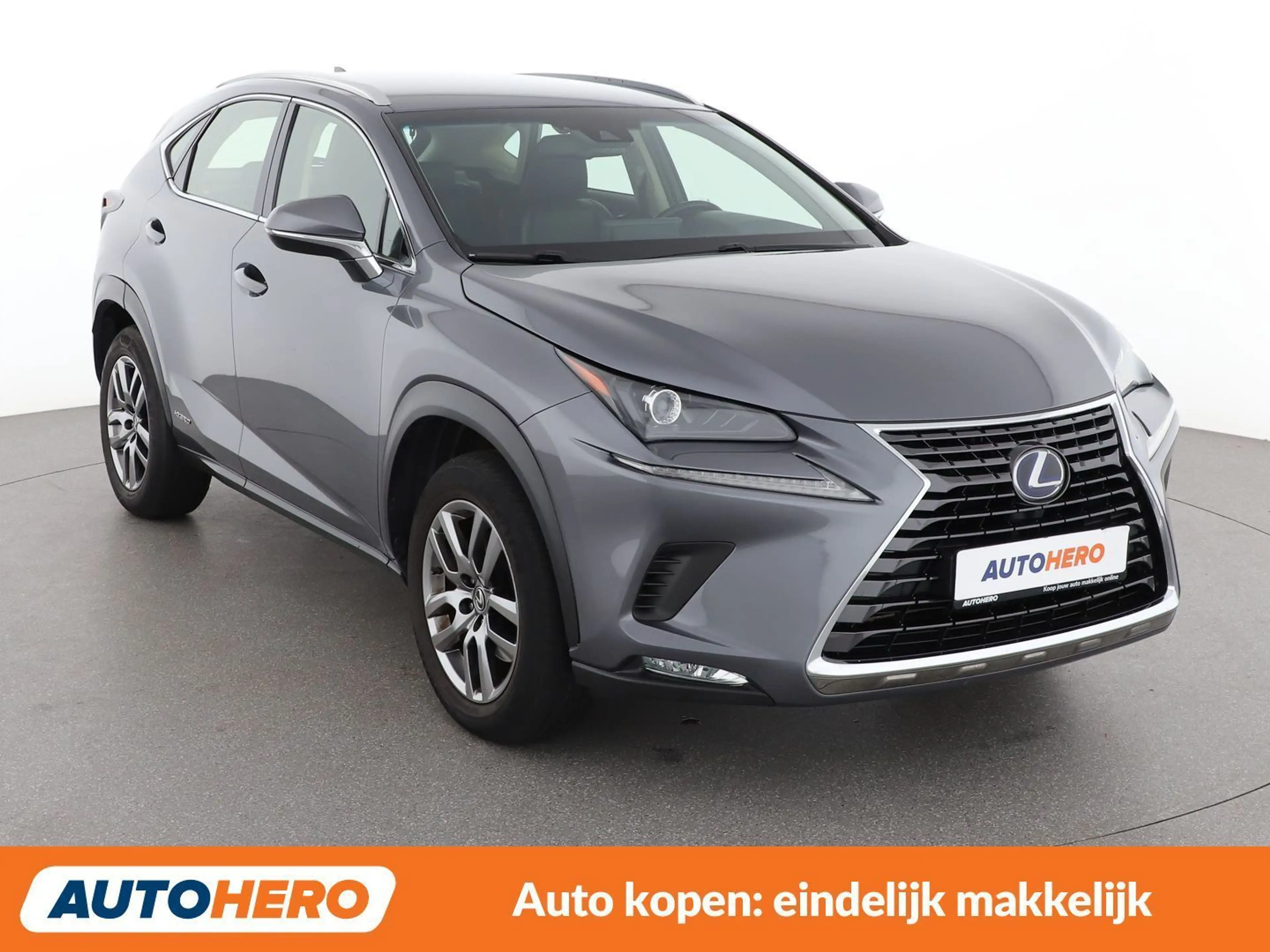 Lexus NX 300h NX 300h E-Four Pack Business — photo 8