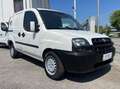 Fiat Doblo 1.3 MJT Cargo SX IVA INCLUSA Voletto Clima Frizion Blanc - thumbnail 3