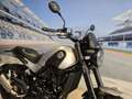 Benelli Leoncino 500 - Trail - Km 27000 - thumbnail 15