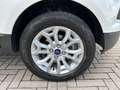 Ford EcoSport 1.5 titanium 110cv powershift Blanc - thumbnail 14
