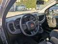 Fiat Panda 1.0 firefly hybrid PROMO FINANZIAMENTO Grigio - thumbnail 7