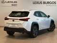 Lexus UX 250h Premium 4WD Blanco - thumbnail 2