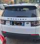Land Rover Discovery Sport Discovery Sport 2.2 sd4 HSE Luxury awd 190cv auto Bianco - thumbnail 3