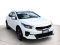 Kia XCeed 1.0 t-gdi Business Gpl 117cv Bianco - thumbnail 3