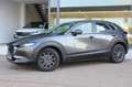 Mazda CX-30 2.5L e-SKYACT G MHEV 103kW Prime-Line AT Gris - thumbnail 2